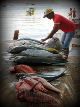 Taganga balık pazarı